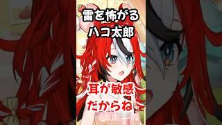 雷が怖いハコス