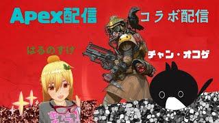 【 はるすけライブ】チャンオコゲとコラボ！！？Apexでフルボッコのすけ♪/蜜柑はるのすけ