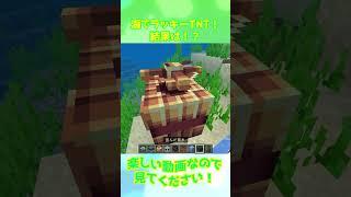 【マイクラアドオン】海でラッキーTNT！結果は！？