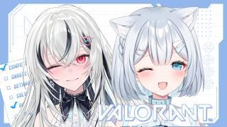 【VALORANT】上振れくださいコンペ　w/夜凪ましろ　#新人Vtuber　#個人Vtuber　#ゲーム配信