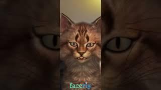 質問箱を設けたのでみなさま話題作りにご協力をお願いします…_(´ཫ`* _)⌒)_