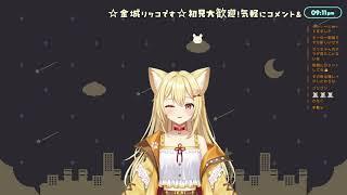 何をするのかこれからきめる【雑談アーカイブ】