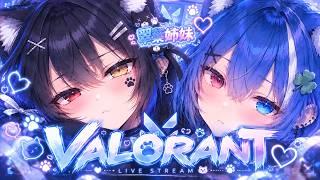 （VALORANT）今日こそランク上げる！ 良かったらゆっくりしてってにゃん🐈👑