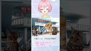 【猫ミーム】誘拐されかけた話　#猫ミーム