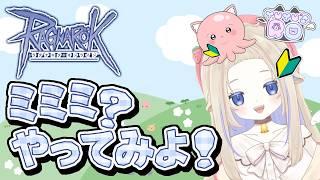 【ラグナロクオンライン】ワンダラーdeミミミ【ゆゆタコ】#新人vtuber