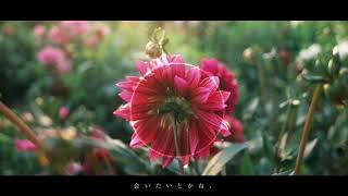 なんでもないよ、 / マカロニえんぴつ covered by ぶんぶく