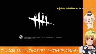 「【 はるすけライブ】みかんとコラボ！！？DBDでみかん狩り！/蜜柑はるのすけ」のコピー