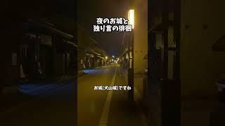夜のお城と 独り言の徘徊 #shorts