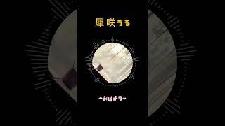 【52日目】『ボイスドラマ〜おはよう〜』目覚ましなど！ご自由にお使いください！エチュードになりますので台本はありません！笑 #vtuber準備中 #vtuber #オリジナル #ボイスドラマ