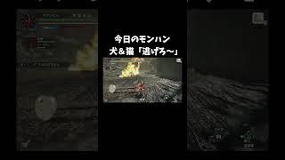 必死に走るオトモ達 #shorts