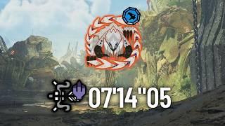 【チャレンジクエスト】歴戦王アルシュベルド　弓🏹