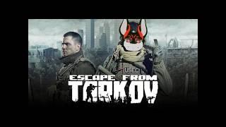 【#EFT】PvE ドドド深夜の作業タルコフ#EFT #Vtbuer #ケモノ系Vtuber
