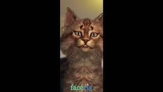 質問箱の中身に回答していく雑談動画