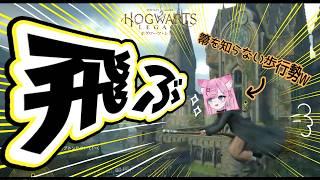 【Hogwarts Legacy】ついに来た！飛行訓練⚠…5日目【#新人Vtuber/星白ばにら】