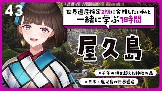 【#世界遺産】2級合格までの道！千年の時を越えた神秘の森🌳屋久島の話【#Vtuber/#旅家いちか】