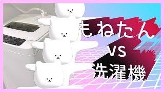 【もねたん】もねたん vs 洗濯機【Atuber】