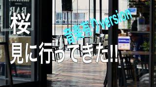 桜を見にいってきた　音楽付き版　(Vlog)    2