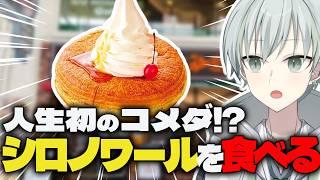 【人生初!?】いまさら初のコメダ珈琲で初のシロノワールを食べる!!!【新人Vtuber/榎田れい】