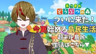 【＃１】🏝今更始める島民生活🏝【激チル】