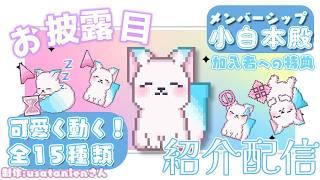 【必見】 かわいいメンシ特典のお披露目をさせてください！　［小白もち(こはくもち)］