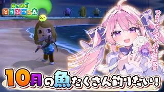雨続きで休みがちでしたので魚釣りしながら雑談配信.ᐟ #22【あつまれどうぶつの森】