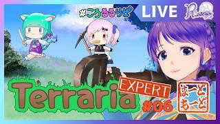 【Terraria】EXPERT 06 大忙し！強化！ボス戦！採掘！！【個人Vtuber】#Terraria #リゼニライブ