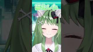 【猫の日】にゃんにゃんごろごろ【一応ASMR】#ASMR #猫の日 #新人Vtuber #バズれ