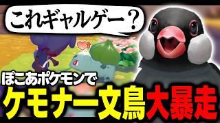 【ぽこあポケモン】ケモナ―文鳥おかもとぽこポケに大歓喜【新人VTuber/切り抜き】