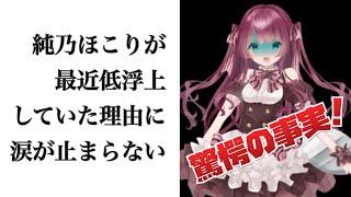 【生存確認】純乃ほこり新EDお披露目！【新人Vtuber】