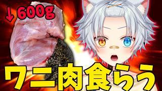 【手元配信】ワニ肉600g VS ぎんじろ。【Vtuber】