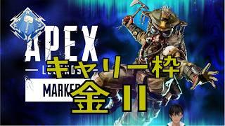【Apex Legends】 全味方に感謝 🤲 🙏 【Urushimatsu_Kaoru/漆松薫】