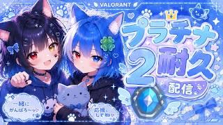 （VALORANT参加型）コンペ配信！よかったらゆっくりしてってにゃ～