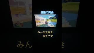 【涙腺崩壊】サザレさんにちゃんとしたガチグマの写真を撮ってもらった