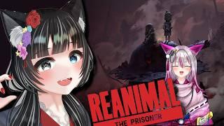 【REANIMAL】きたぜDLC！！！！！なんか最近ケモキュア多くね？？【狼月なな・明霧れいさん】