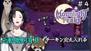【Moonlight Peaks #４】 チーキンとかいう鶏と出目金のキメラ迎え入れる