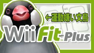 お昼休みはうきうきお文鳥のWii Fit【新人VTuber】
