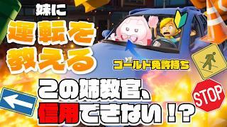 【妹に運転を教えるDemo】絶対に妹を事故らせてはいけない姉Vtuberの教習所🚙【初見実況 vtuber】