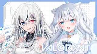 【VALORANT】今日も今日とてコンペデート！　w/夜凪ましろ　#新人Vtuber　#個人Vtuber　#ゲーム配信