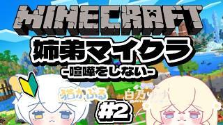 【マインクラフト】お家つくる？！【姉弟コラボ】#新人vtuber
