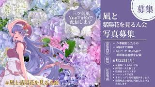 【#凪と紫陽花を見るん会】リスナー参加型♡雨の憂鬱も吹き飛ばす色とりどりの紫陽花♡【三ツ矢凪／広島VTuber】