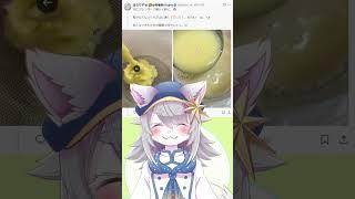レシピ紹介「とうもろこしのすり流し」