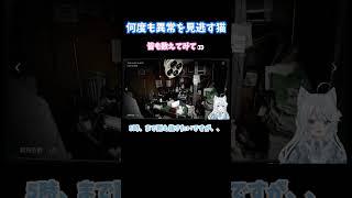 【クイズ】この猫は何回異常を見逃してるでSHOW