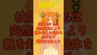 【柑橘講座基礎編】枝変わりってなーに？【橘柚子】#vtuber