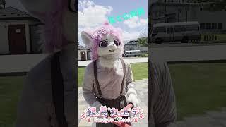 夏が待ち遠しくてはしゃぐ猫 #furry #kemono #kigurumi