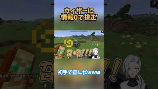 【マイクラ】ウィザーとかいうやつボコったわ