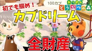 【あつ森】初めてのカブでも全財産を投じる島民代表ｗ【喫茶しろえ】