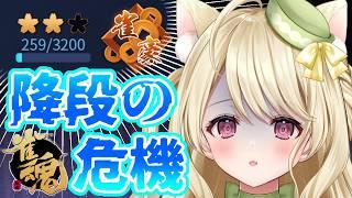 段位戦・とりあえず基本に立ち返るのにゃ【雀魂】[第1266局]