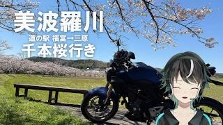 バイクで春を巡る千本桜ツーリング　[#モトブログ ]