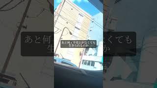 【年商1000億】黒字でも会社は潰れる。売上より「現金」を守れ #経営 #起業 #Shorts