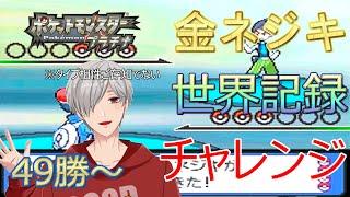【49勝～】金ネジキ世界記録更新目指す。その２